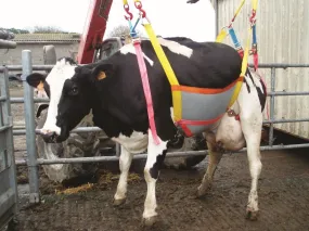 Lève-vache Up Cow