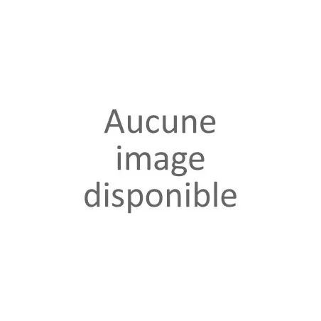 T-shirt imprimé insectes homme