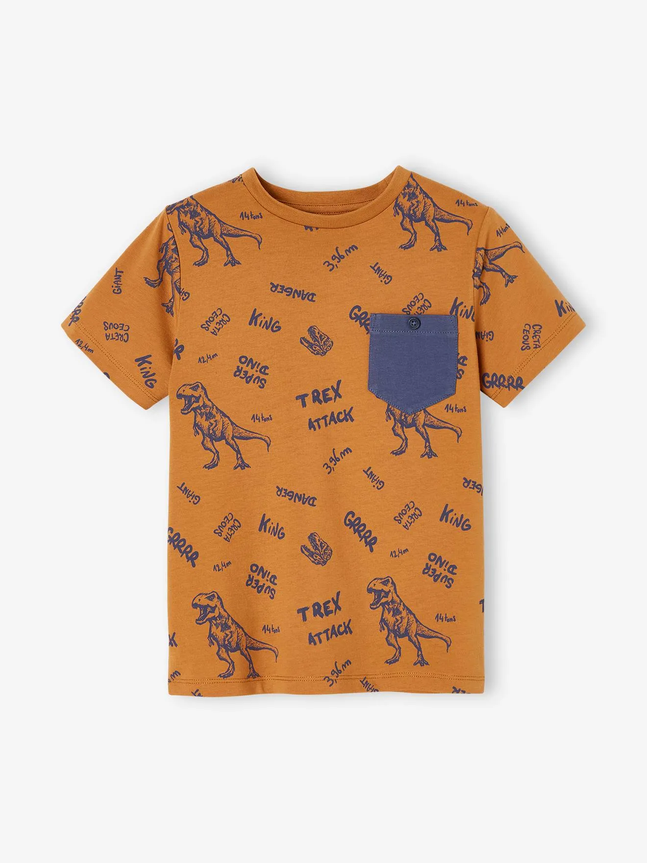 T-shirt motifs graphiques garçon manches courtes cannelle - Vertbaudet